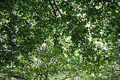 《异度神剑3》第3弹扩展通行证2月16日推出