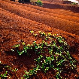 年末大促开启！《双点医院》限时特价入手即送DLC